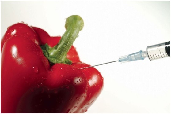 2012ʳƷ��ȫ�¼����