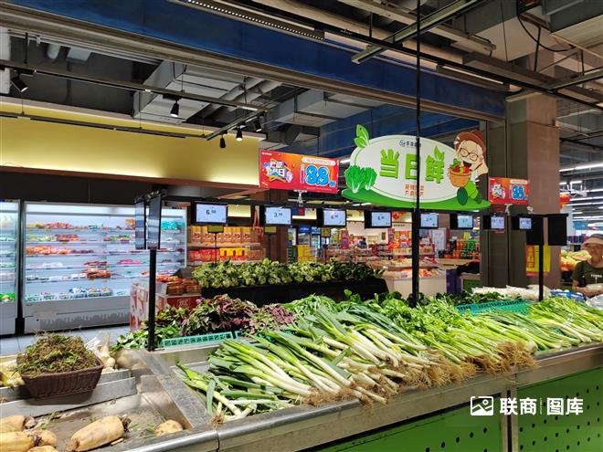 �B�T��������