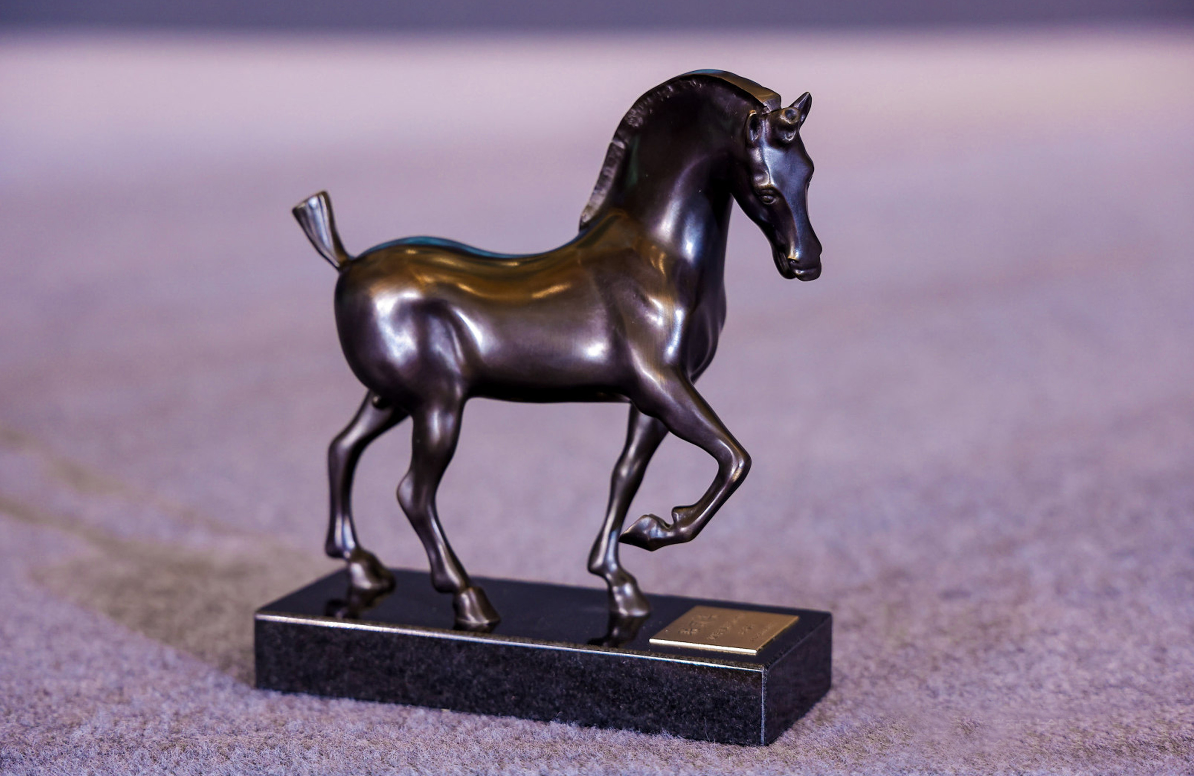 聯(lián)商獎(jiǎng)美好商業(yè)年度人物